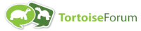 Tortoise Forum
