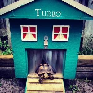 Turbo's newest nightbox :)
