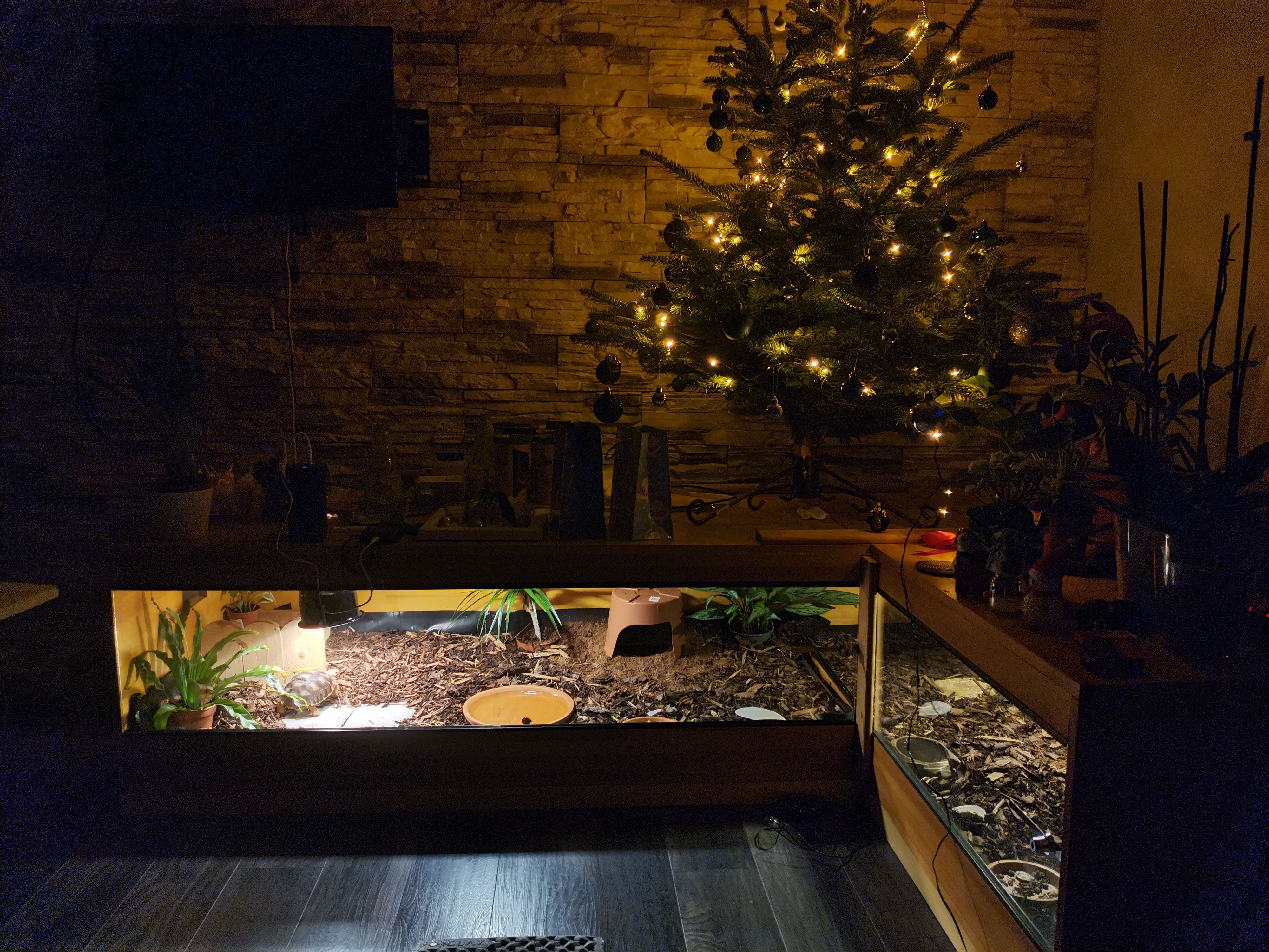Decoration