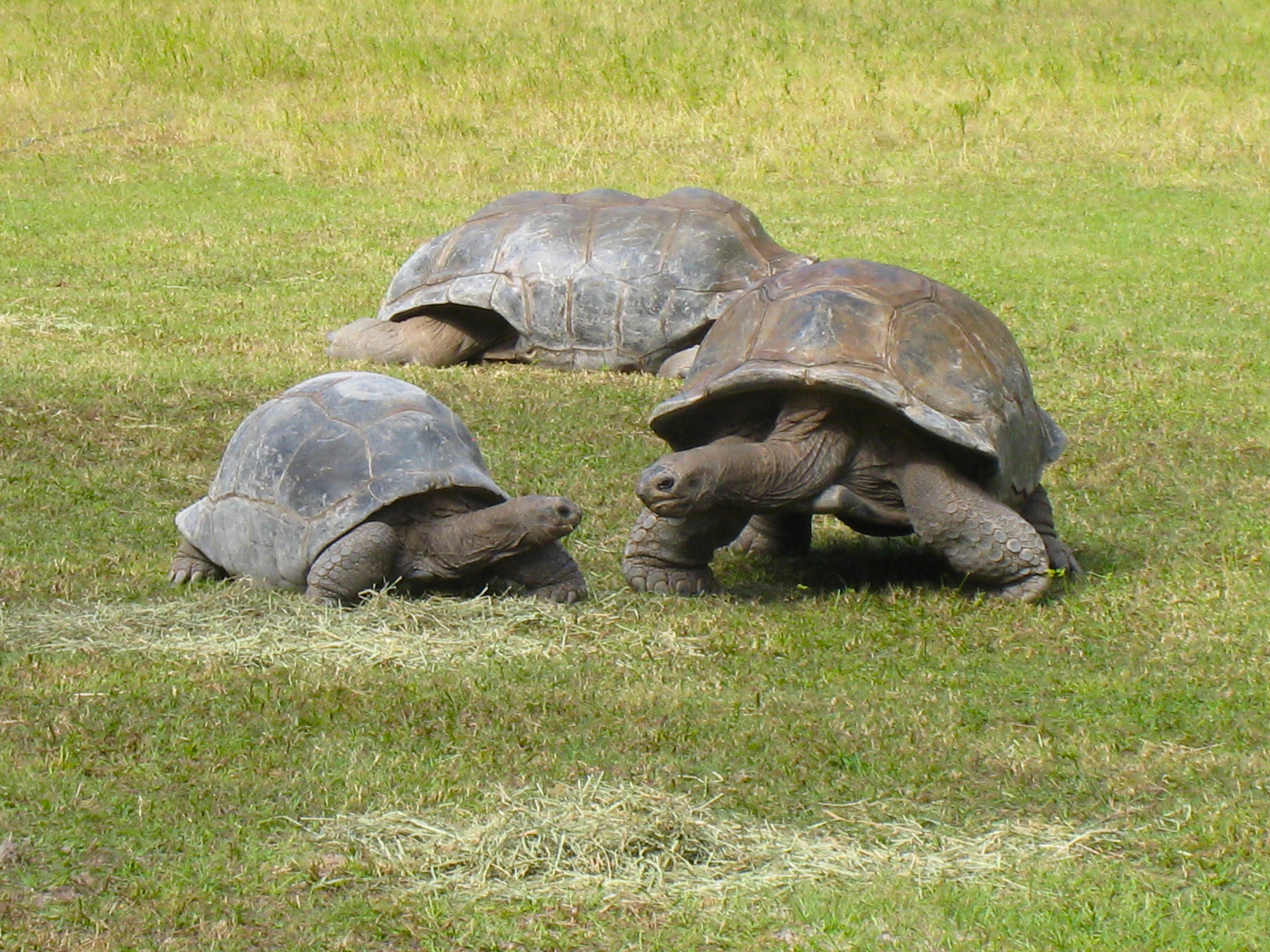 GREAT DAY IN SW FLORIDA