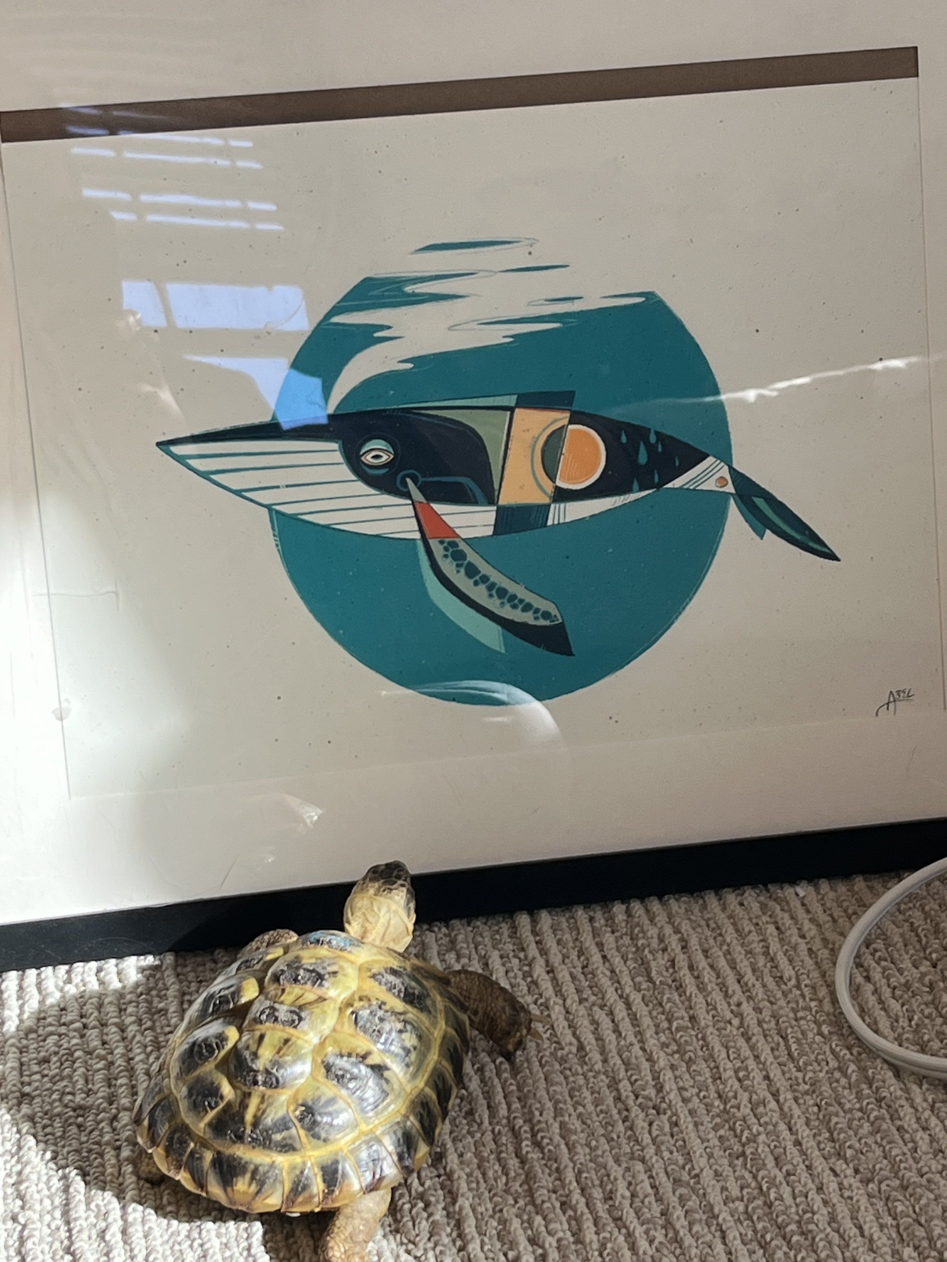 IMG_0595.jpeg