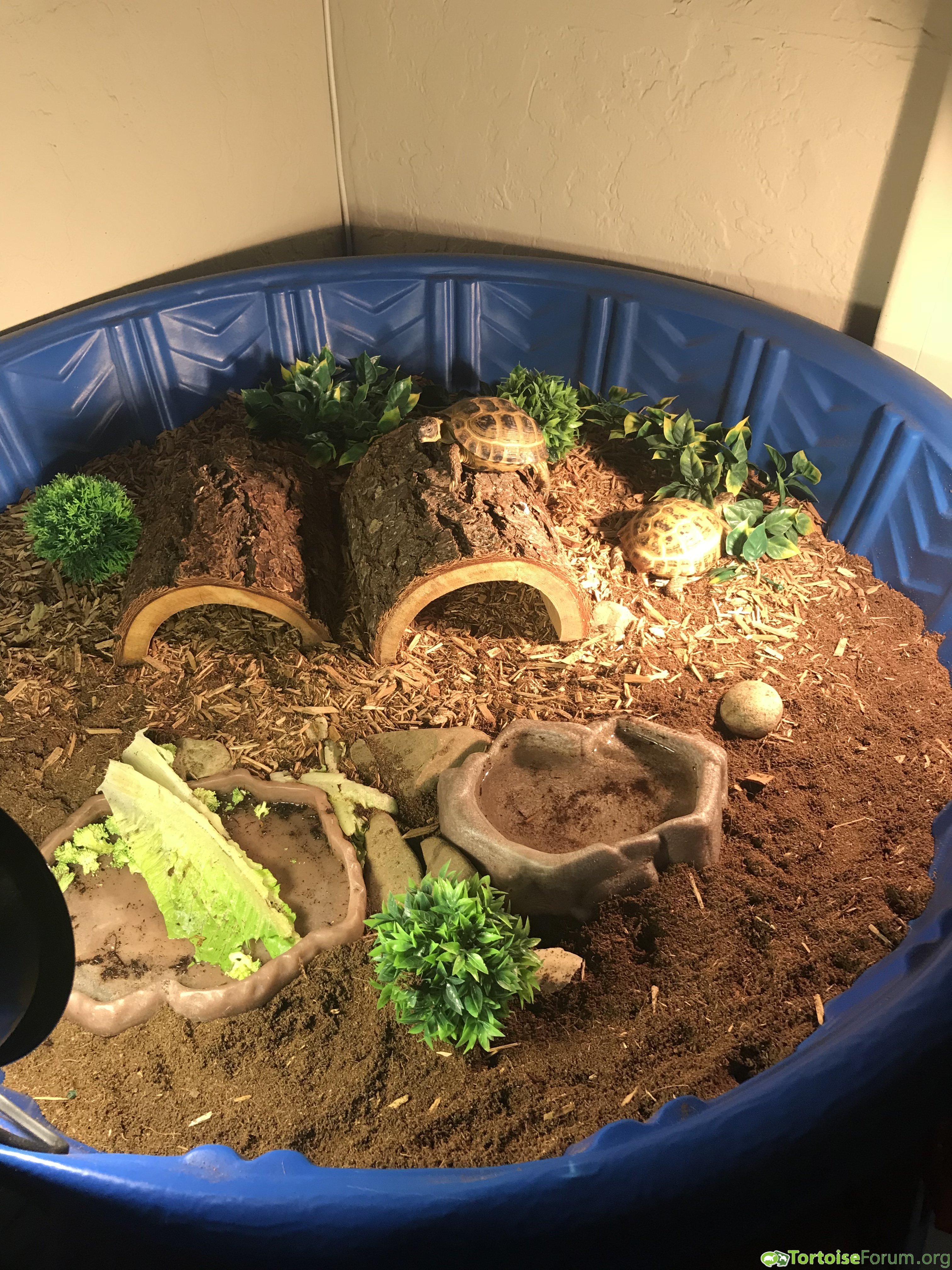 Sheldon & Honey’s habitat