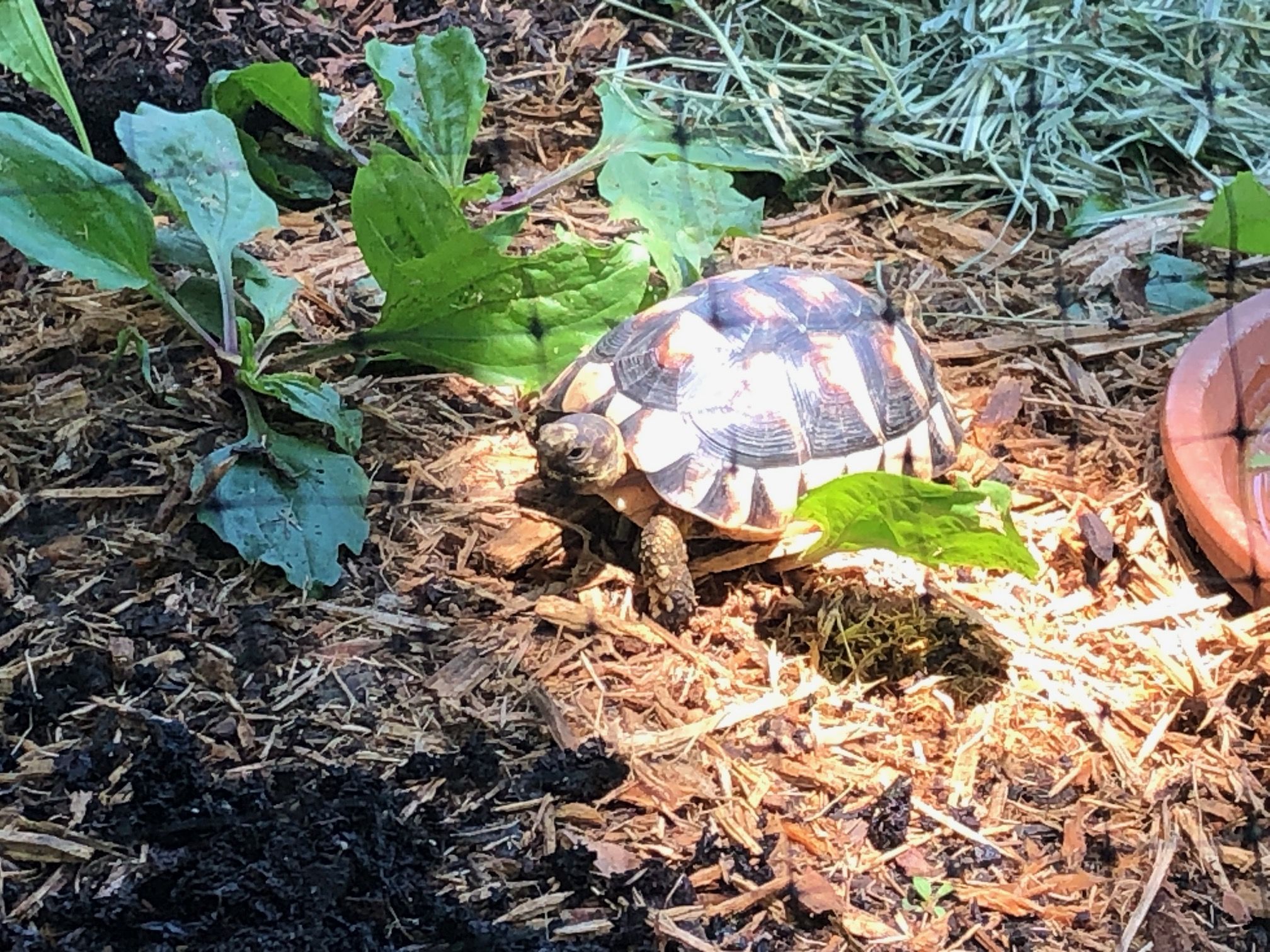 That perfect little spot of sun in the morning