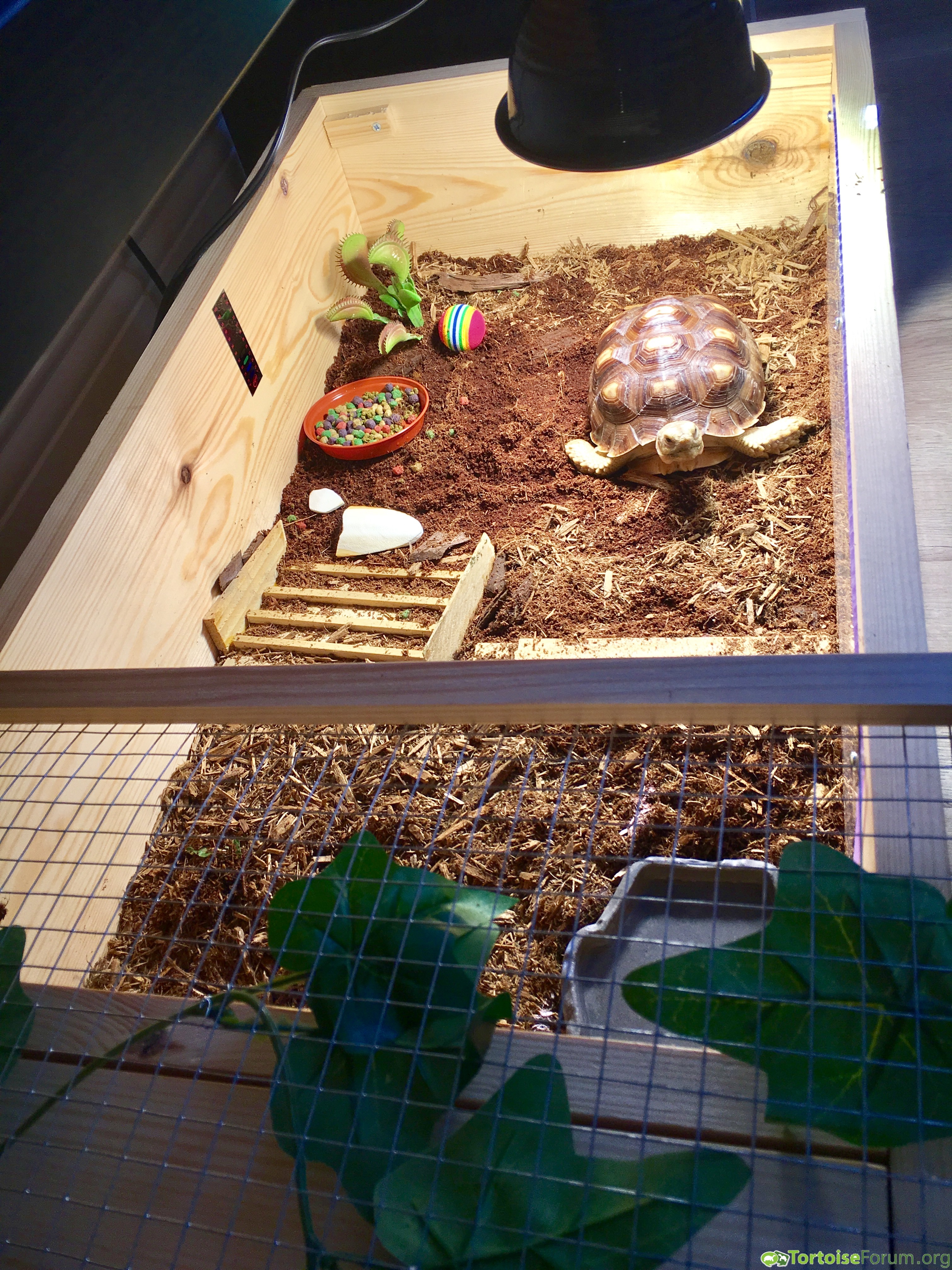 Thor's temporary indoor home:)