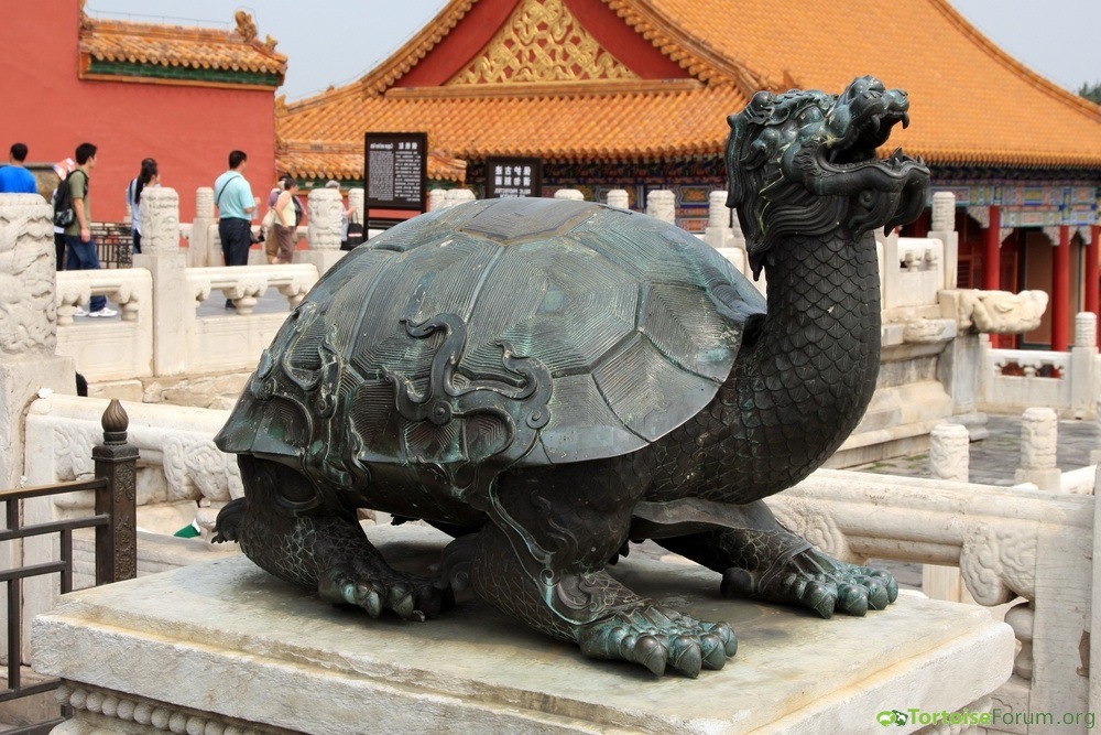 Tortoise in Imperial Garden