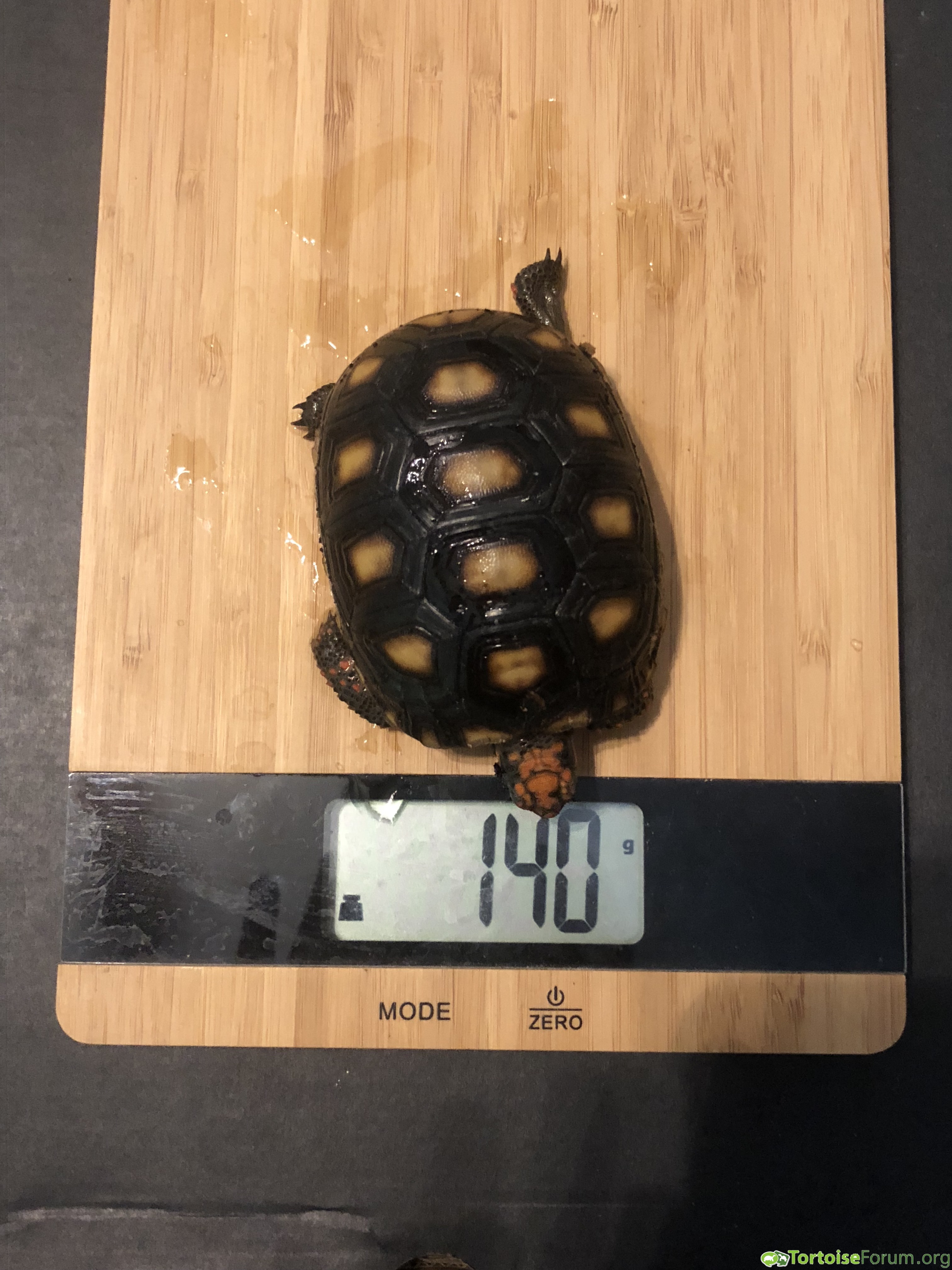 Weight on 2-5-18